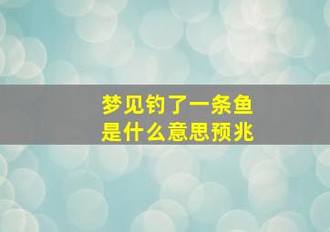 梦见钓了一条鱼是什么意思预兆