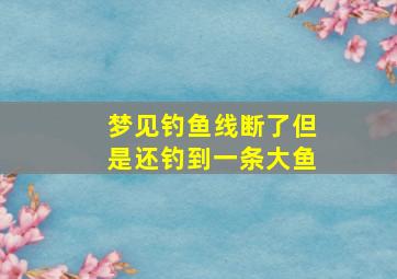 梦见钓鱼线断了但是还钓到一条大鱼,梦见钓鱼线断了鱼又跑回来了