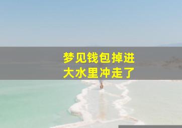 梦见钱包掉进大水里冲走了,梦见钱包掉进大水里冲走了什么预兆