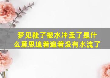 梦见鞋子被水冲走了是什么意思追着追着没有水流了,梦见自己鞋子被水冲走了是什么意思