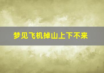 梦见飞机掉山上下不来