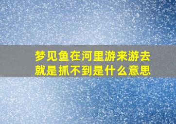 梦见鱼在河里游来游去就是抓不到是什么意思,梦见鱼在河里游走了拿不到