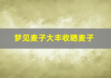 梦见麦子大丰收晒麦子,梦见麦子丰收成麦子粒