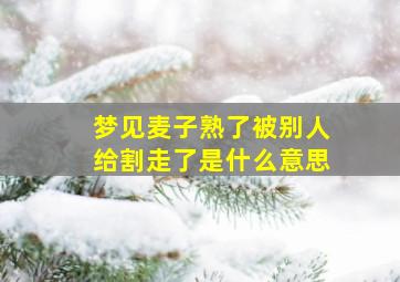 梦见麦子熟了被别人给割走了是什么意思,梦见麦子没成熟就割了