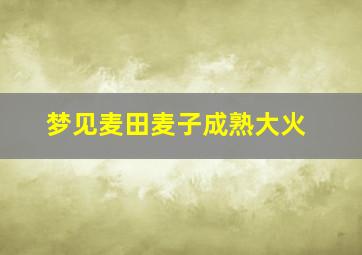 梦见麦田麦子成熟大火,梦见麦田着大火