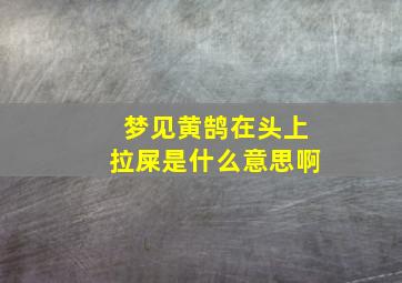 梦见黄鹄在头上拉屎是什么意思啊,梦见黄鹄在头上拉屎是什么意思啊周公解梦