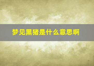 梦见黑猪是什么意思啊,梦见黑猪是什么预兆