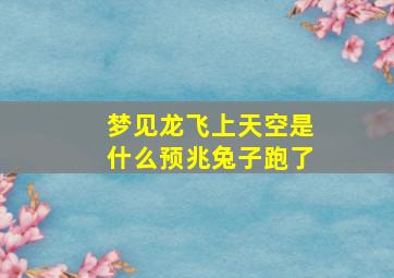 梦见龙飞上天空是什么预兆兔子跑了,有什么预兆