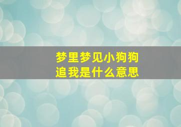 梦里梦见小狗狗追我是什么意思,梦到小狗一直追自己