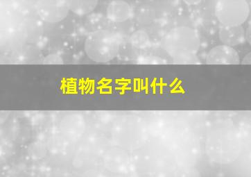 植物名字叫什么,植物的名字都有哪些?