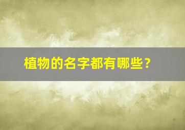 植物的名字都有哪些？,植物的名称有什么