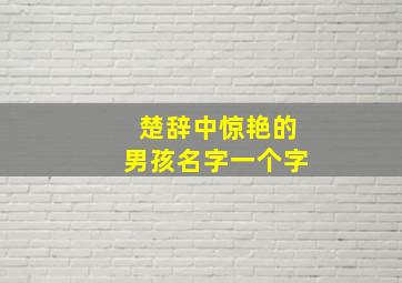 楚辞中惊艳的男孩名字一个字,楚辞适合做男孩子名字的单字