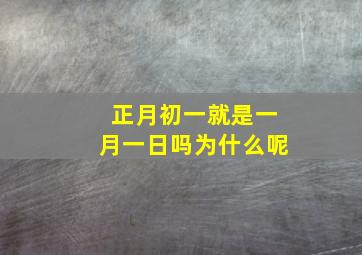 正月初一就是一月一日吗为什么呢,正月初一称为什么日