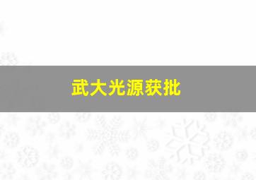 武大光源获批,武汉大学光源