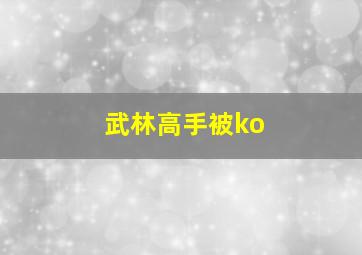 武林高手被ko