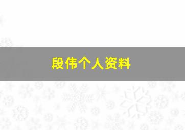 段伟个人资料,段伟东个人简历