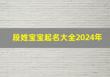 段姓宝宝起名大全2024年