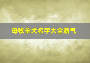 母牧羊犬名字大全霸气