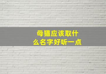 母猫应该取什么名字好听一点,母猫取什么名字可爱