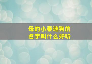 母的小泰迪狗的名字叫什么好听,母的泰迪一般能起什么名字