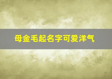 母金毛起名字可爱洋气,母金毛起名字大全