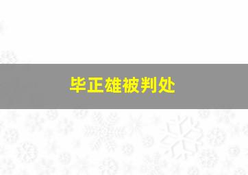 毕正雄被判处,毕正刚教授