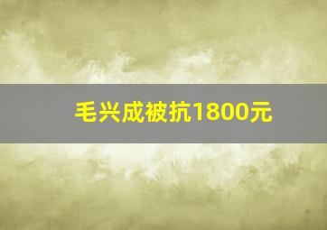 毛兴成被抗1800元