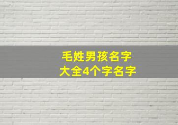 毛姓男孩名字大全4个字名字,毛姓男宝宝名字大全