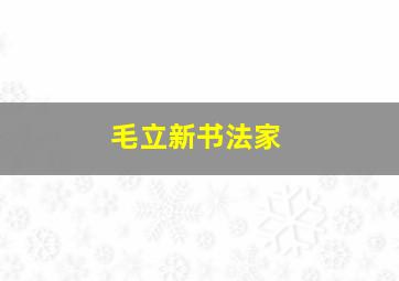 毛立新书法家,书法家毛立谦