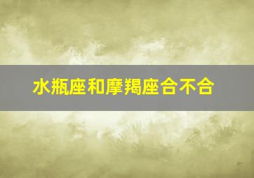 水瓶座和摩羯座合不合,水瓶座和摩羯座合不合