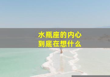 水瓶座的内心到底在想什么,水瓶座到底在想什么