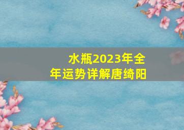 水瓶2023年全年运势详解唐绮阳,2023年董易奇运程车