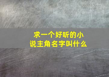 求一个好听的小说主角名字叫什么,比较好的小说主角名字