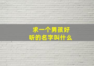 求一个男孩好听的名字叫什么