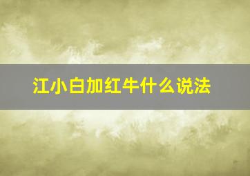 江小白加红牛什么说法