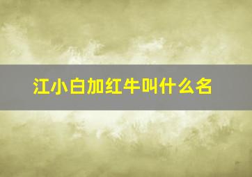 江小白加红牛叫什么名,江小白掺红牛