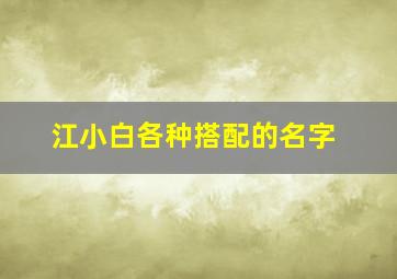 江小白各种搭配的名字,江小白配白酒叫什么