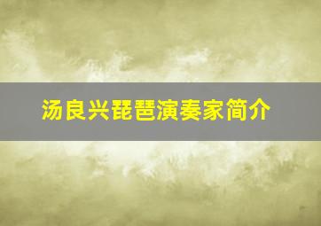 汤良兴琵琶演奏家简介