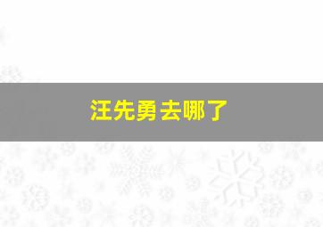 汪先勇去哪了,汪先伟案件