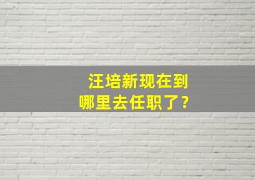 汪培新现在到哪里去任职了？