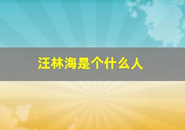 汪林海是个什么人,汪海林是干嘛的