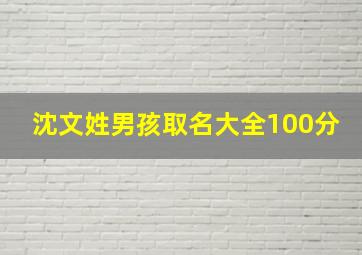 沈文姓男孩取名大全100分