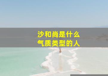 沙和尚是什么气质类型的人