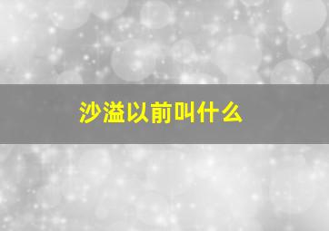 沙溢以前叫什么,沙溢原名什么名字