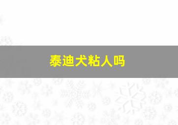 泰迪犬粘人吗,泰迪狗是不是很粘人