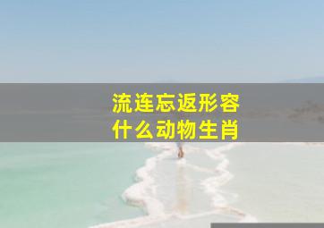 流连忘返形容什么动物生肖,青青湖边水仙花