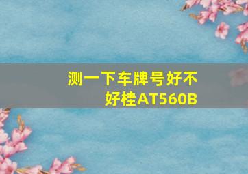 测一下车牌号好不好桂AT560B,桂f6a611车牌