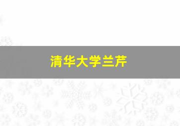 清华大学兰芹,清华大学兰春璐