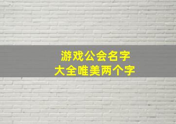 游戏公会名字大全唯美两个字,两个字的游戏名字