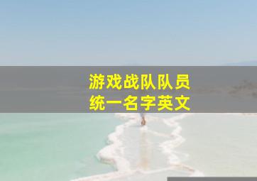 游戏战队队员统一名字英文,战队统一名字格式